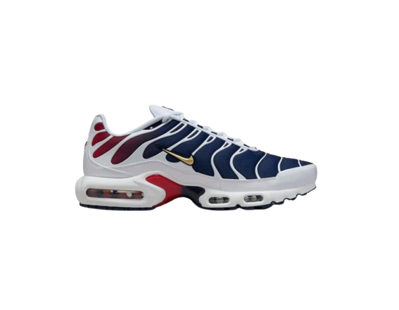 Nike Air Max TN PSG